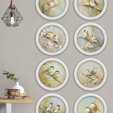Garden Birds Print – White Round Box Frame – Set of 8