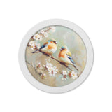 Garden Birds Print – White Round Box Frame – Set of 8