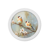 Garden Birds Print – White Round Box Frame – Set of 8
