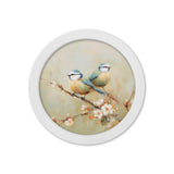 Garden Birds Print – White Round Box Frame – Set of 8