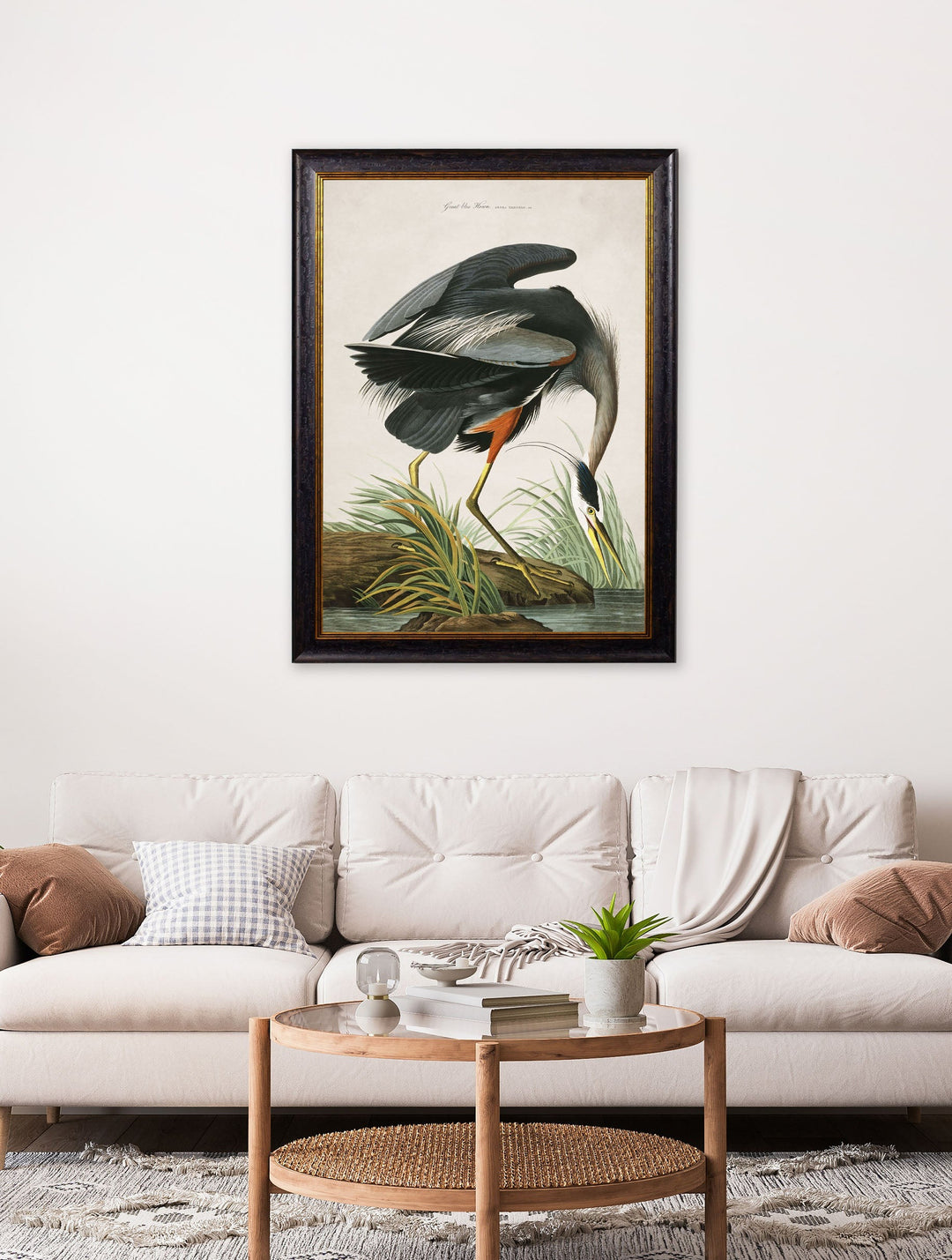 Great Blue Heron by John James Audubon – Oxford Framed Print