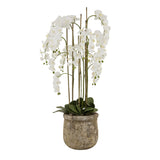 Hill Interiors Large Faux White Orchid in Stone Pot