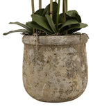 Hill Interiors Large Faux White Orchid in Stone Pot
