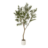 Hill Interiors Apulia Olive Tree In White Pot – 240cm