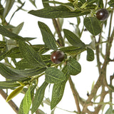 Hill Interiors Apulia Olive Tree In White Pot – 240cm
