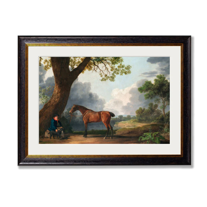 Horse and Groom by George Stubbs – Oxford Slim Framed Print