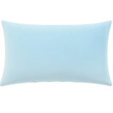 Introverts Live Here Needlepoint Cushion