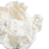 Keiichi Drift Artificial Coral Sculpture