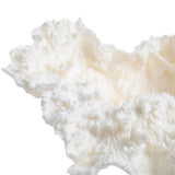 Keiichi Drift Artificial Coral Sculpture