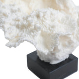 Keiichi Drift Artificial Coral Sculpture