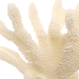Keiichi Pearline Coral Ornament