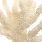 Keiichi Pearline Coral Ornament