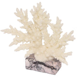 Keiichi Raize Artificial Coral Sculpture
