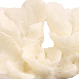 Keiichi Raize Artificial Coral Sculpture
