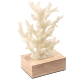 Keiichi Solace Coral Ornament