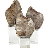 Keiichi Bram Petrified Wood Sculpture - Large
