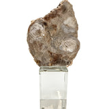 Keiichi Bram Petrified Wood Sculpture - Medium