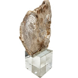 Keiichi Bram Petrified Wood Sculpture - Small