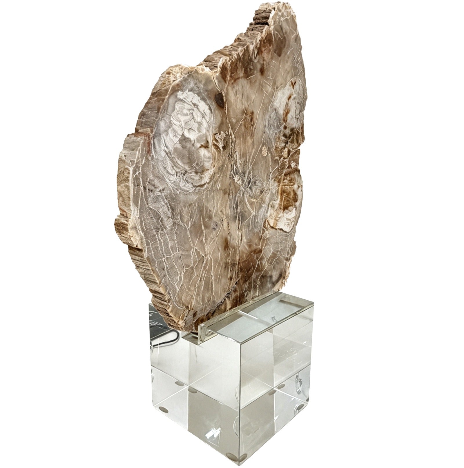 Keiichi Bram Petrified Wood Sculpture - Small