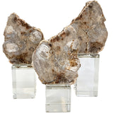 Keiichi Bram Petrified Wood Sculpture - Small