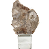 Keiichi Bram Petrified Wood Sculpture - Small