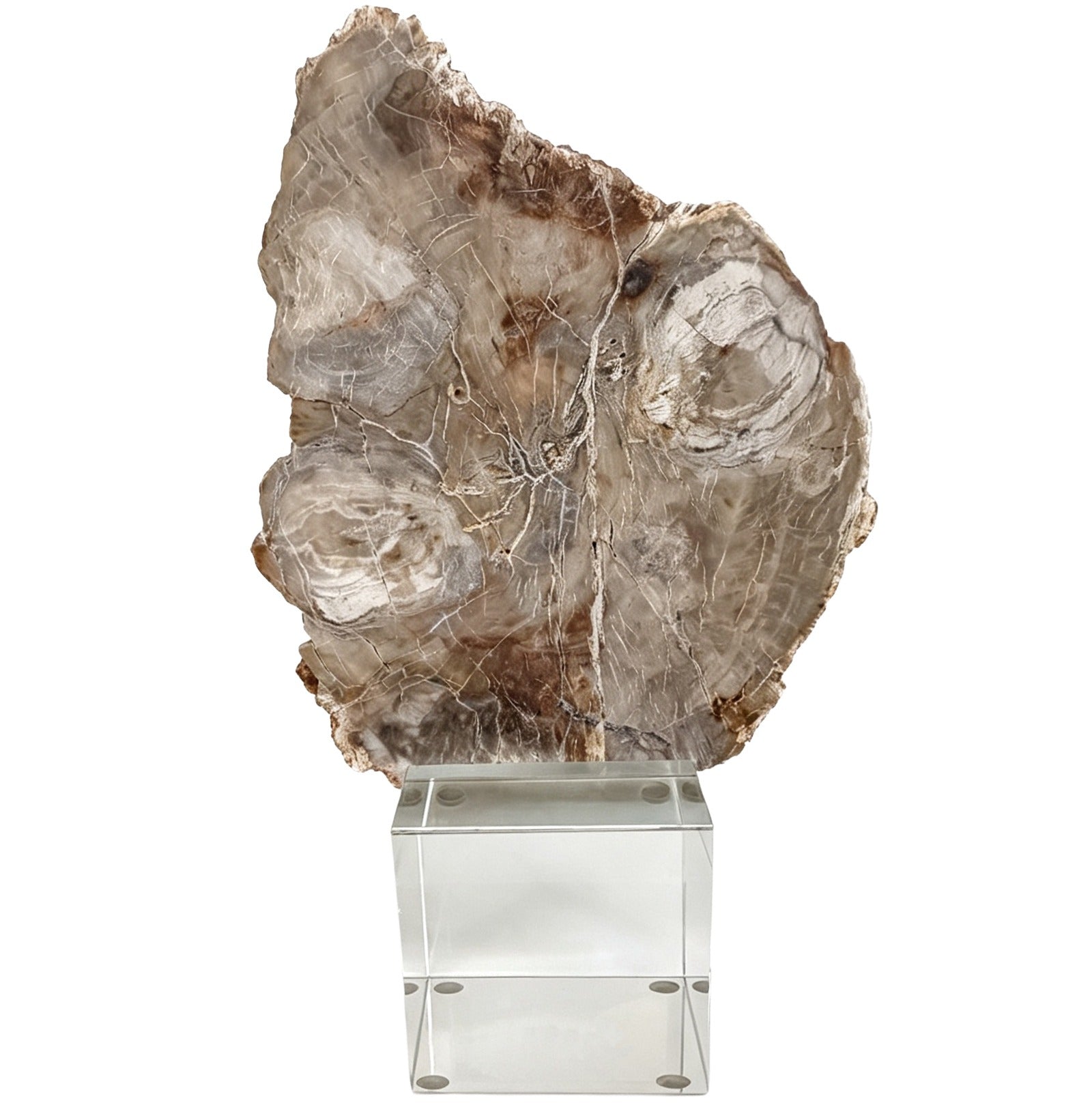 Keiichi Bram Petrified Wood Sculpture - Small
