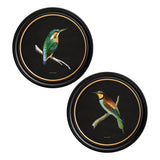 Kingfisher & Bee Eater with Black Background – Oxford Round Framed Print