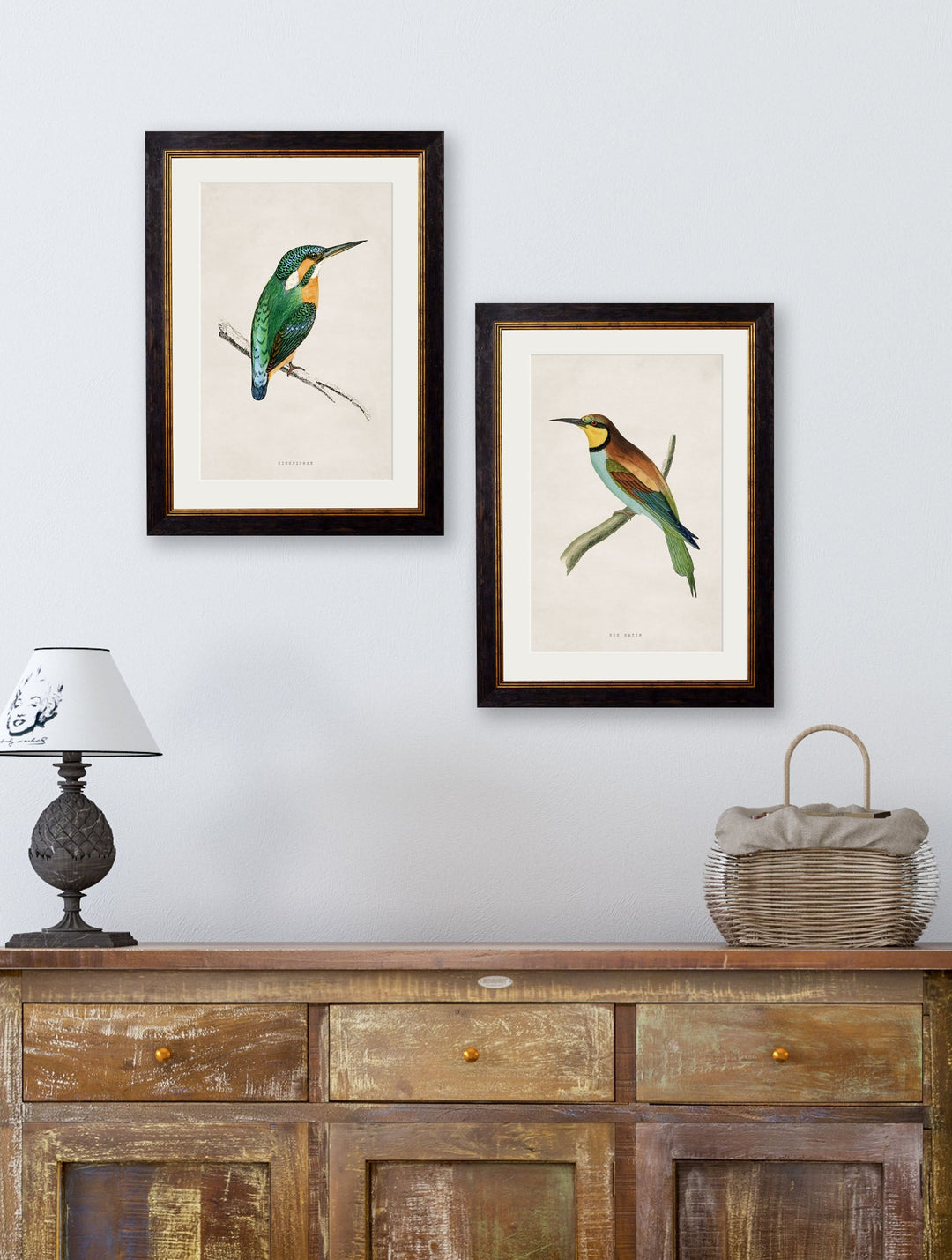 Kingfisher & Bee Eater  – Oxford Slim Framed Prints