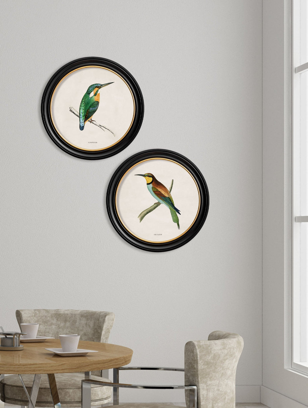 Kingfisher & Bee Eater with White Background – Oxford Round Framed Print