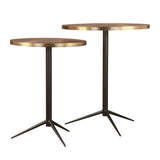 Antigua Nesting Side Tables (Set of 2) - Matt Black and Brushed brass