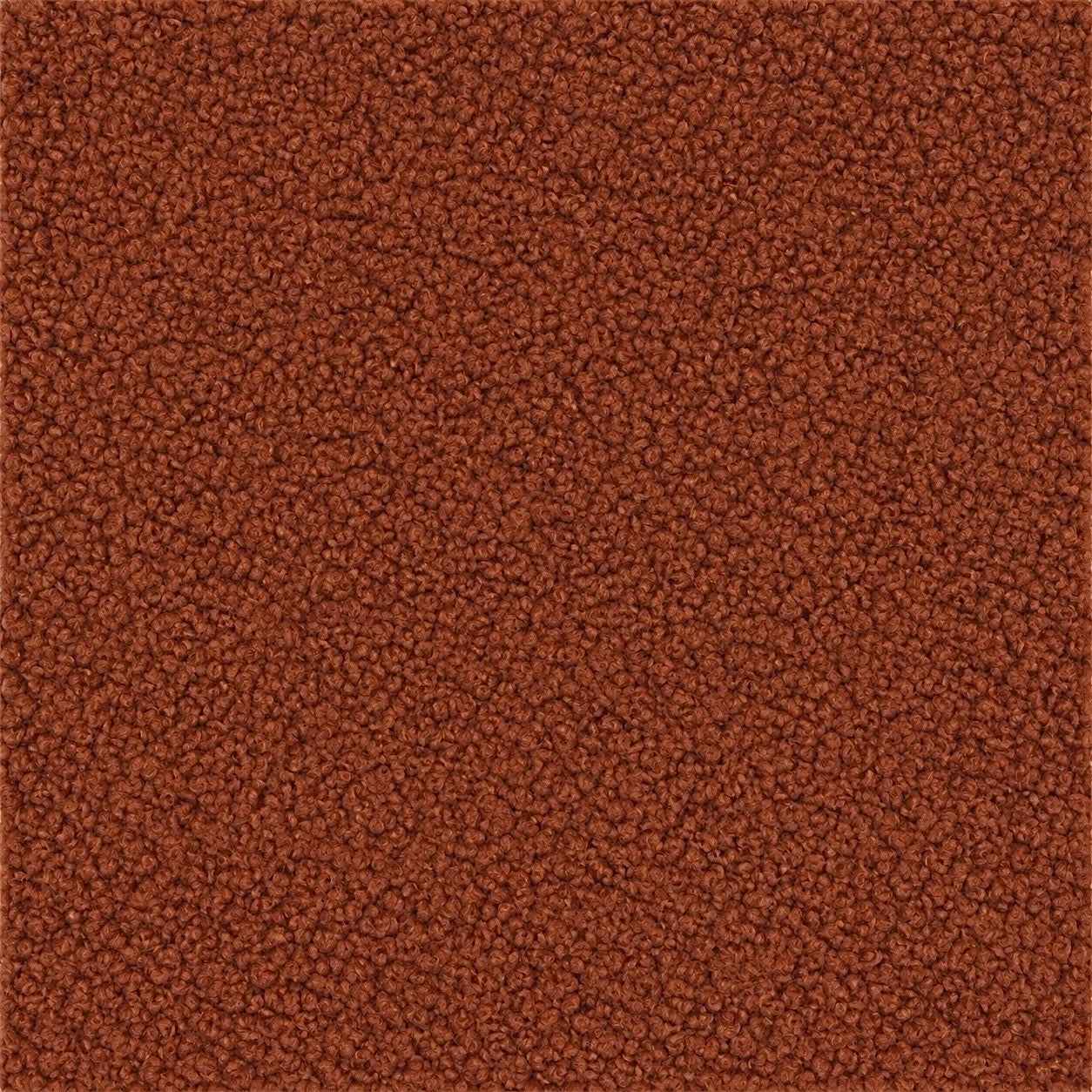 Liang & Eimil Elma Occasional Chair – Lander Rust