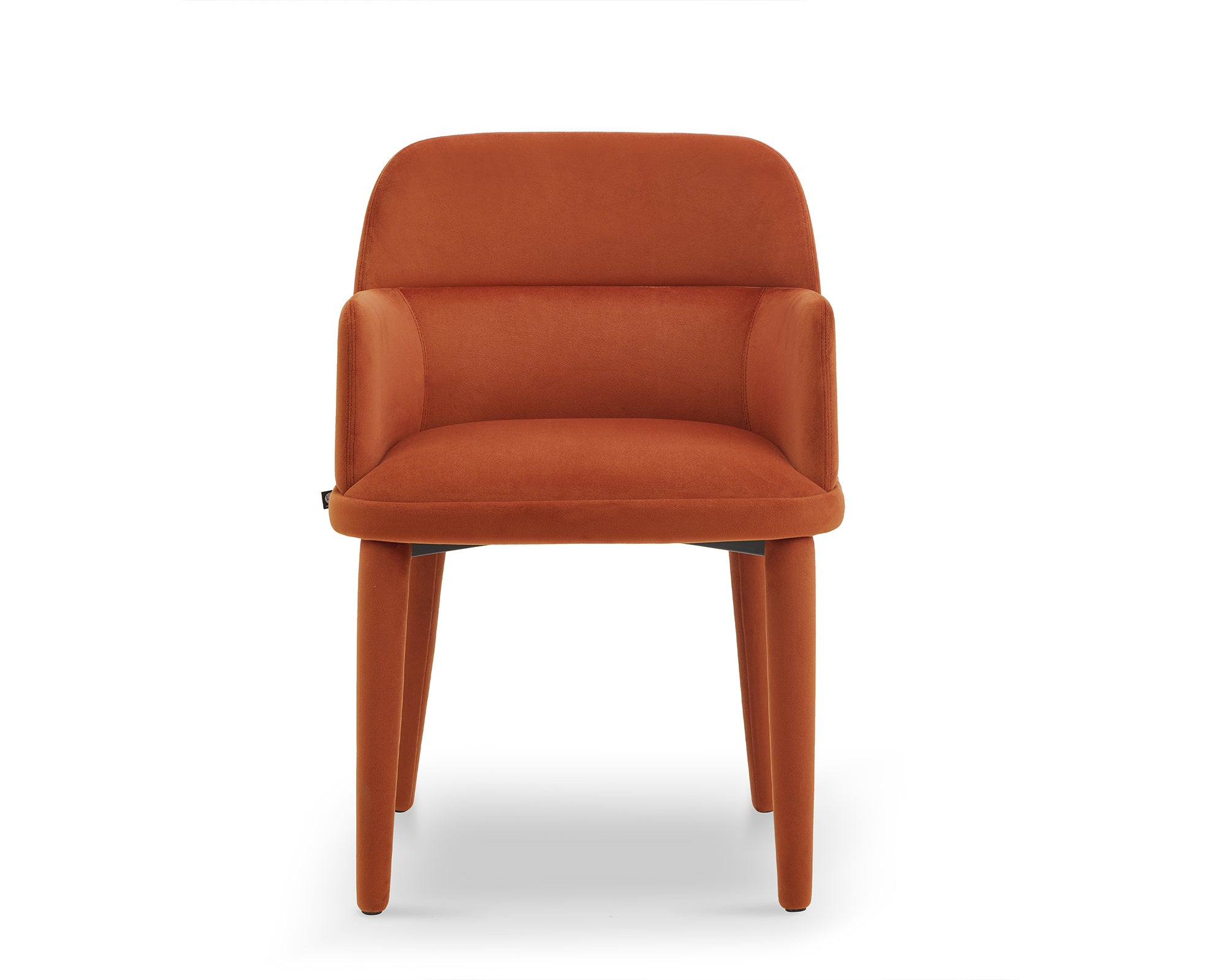 Diva Dining Chair with Arms  -  Megan Oxide