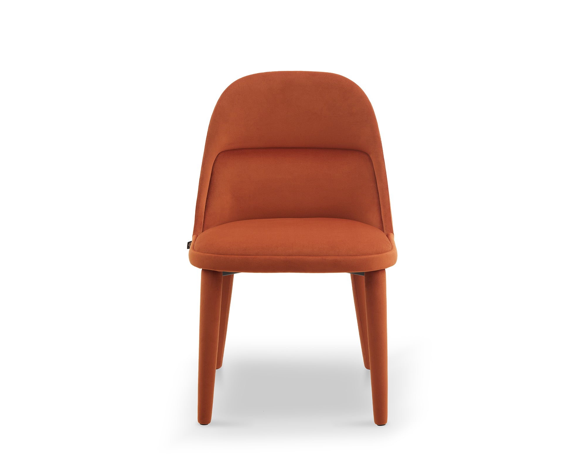 Diva Dining Chair  -  Megan Oxide