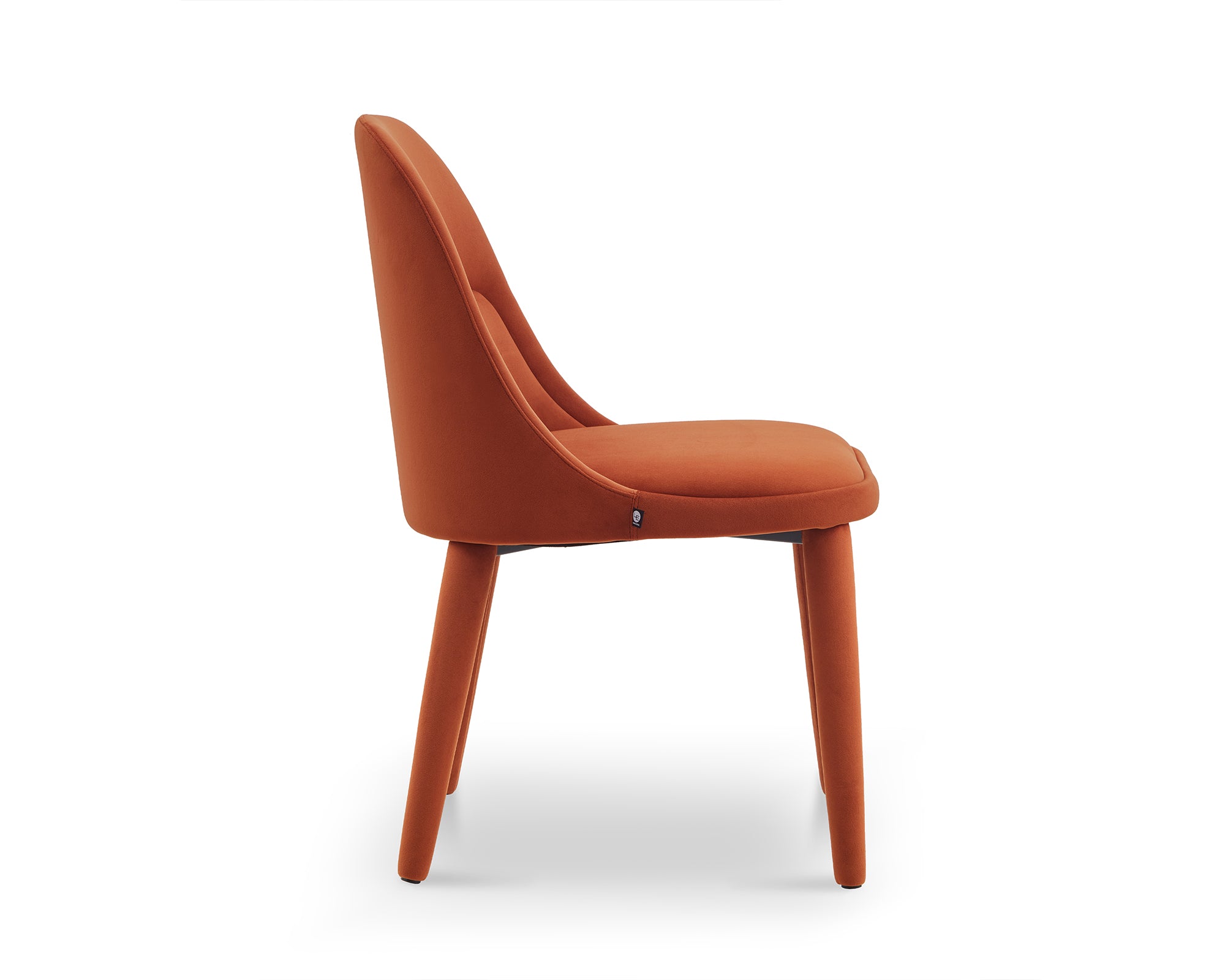 Diva Dining Chair  -  Megan Oxide