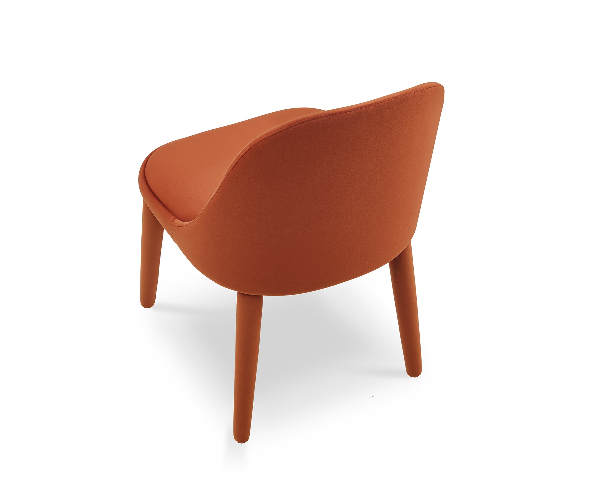 Diva Dining Chair  -  Megan Oxide