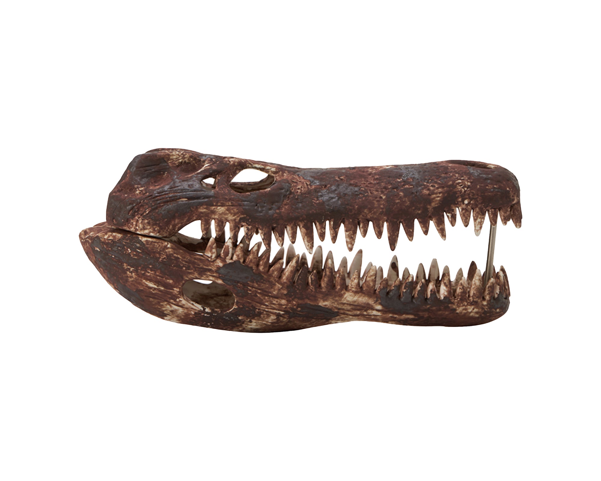 Liang & Eimil Croco Ceramic Sculpture