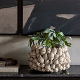 Libra Interiors Acorn Cluster Planter