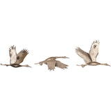 Libra Interiors Crane Trio Wall Art