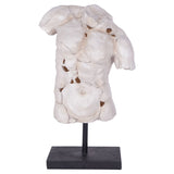 Libra Interiors Male Torso Sculpture
