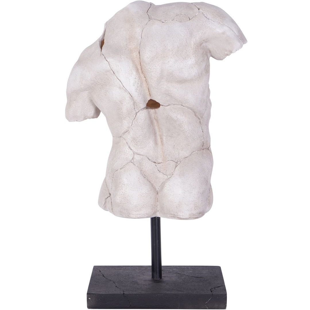 Libra Interiors Male Torso Sculpture