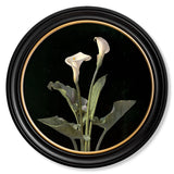 Lilies by George Cochran Lambdin – Oxford Round Framed Print