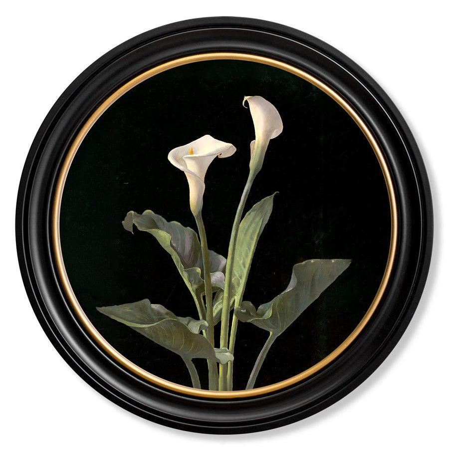 Lilies by George Cochran Lambdin – Oxford Round Framed Print