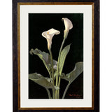 Lilies by George Cochran Lambdin – Oxford Slim Framed Print