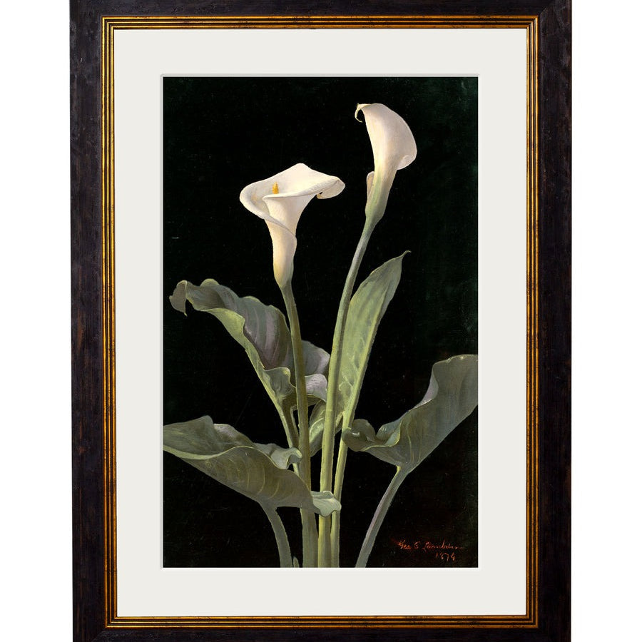 Lilies by George Cochran Lambdin – Oxford Slim Framed Print