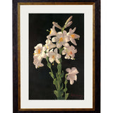 Lilies by George Cochran Lambdin – Oxford Slim Framed Print