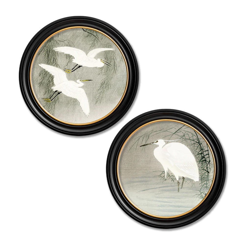 Little Egrets by Ohara Koson – Oxford Round Framed Print
