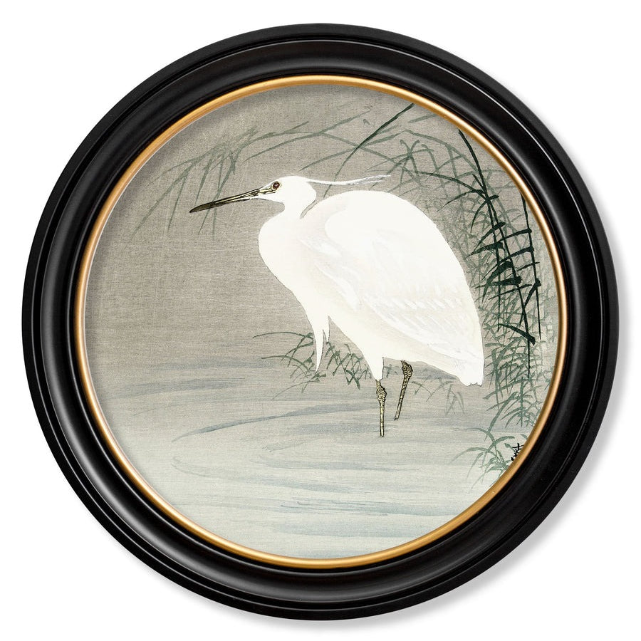 Little Egrets by Ohara Koson – Oxford Round Framed Print