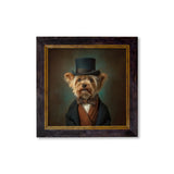 Lord Barkley of York – Gentleman Yorkshire Terrier – Oxford Square Frame