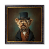 Lord Barkley of York – Gentleman Yorkshire Terrier – Oxford Square Frame