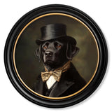 Lord Wagsalot - Oxford round frame